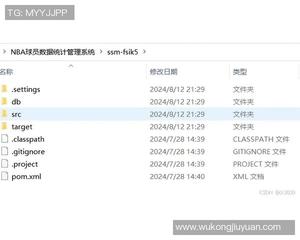 球员数据统计报告